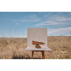 Orinda Ballet Flat - Camel